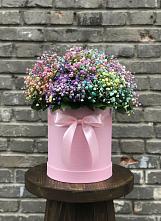 Цветочная композиция из Гипсофила и Розы в шляпной коробке #REPLACE_PRED# Шалушке