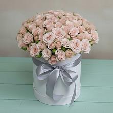 Цветочная композиция из Розы в шляпной коробке #REPLACE_PRED# Шалушке