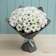 Букет цветов из:  Хризантемы в Шалушке