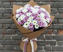 Букет цветов из:  Хризантемы в Шалушке