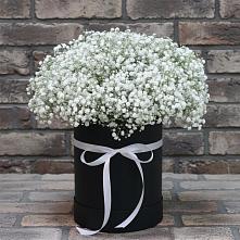 Цветочная композиция из Гипсофила в шляпной коробке #REPLACE_PRED# Шалушке