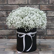 Цветочная композиция из Гипсофила в шляпной коробке в Шалушке