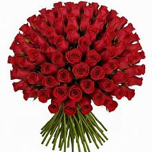 Букет Красные розы Чери Лав в Шалушке