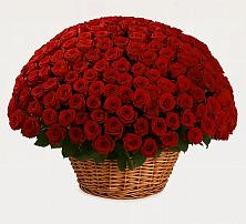 Премиум букет из: Розы #REPLACE_PRED# Шалушке