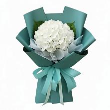 Букет цветов из:  Гортензия в Шалушке